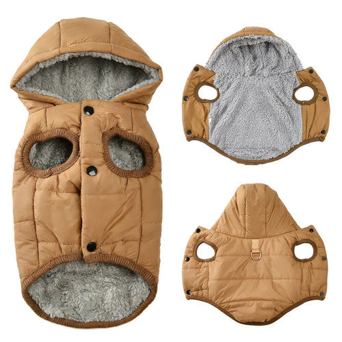 Winter Gear