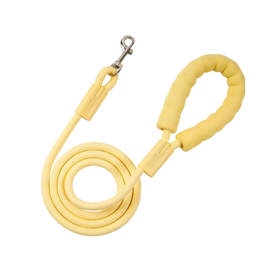 Braided nylon rope dachshund leash, color option 5