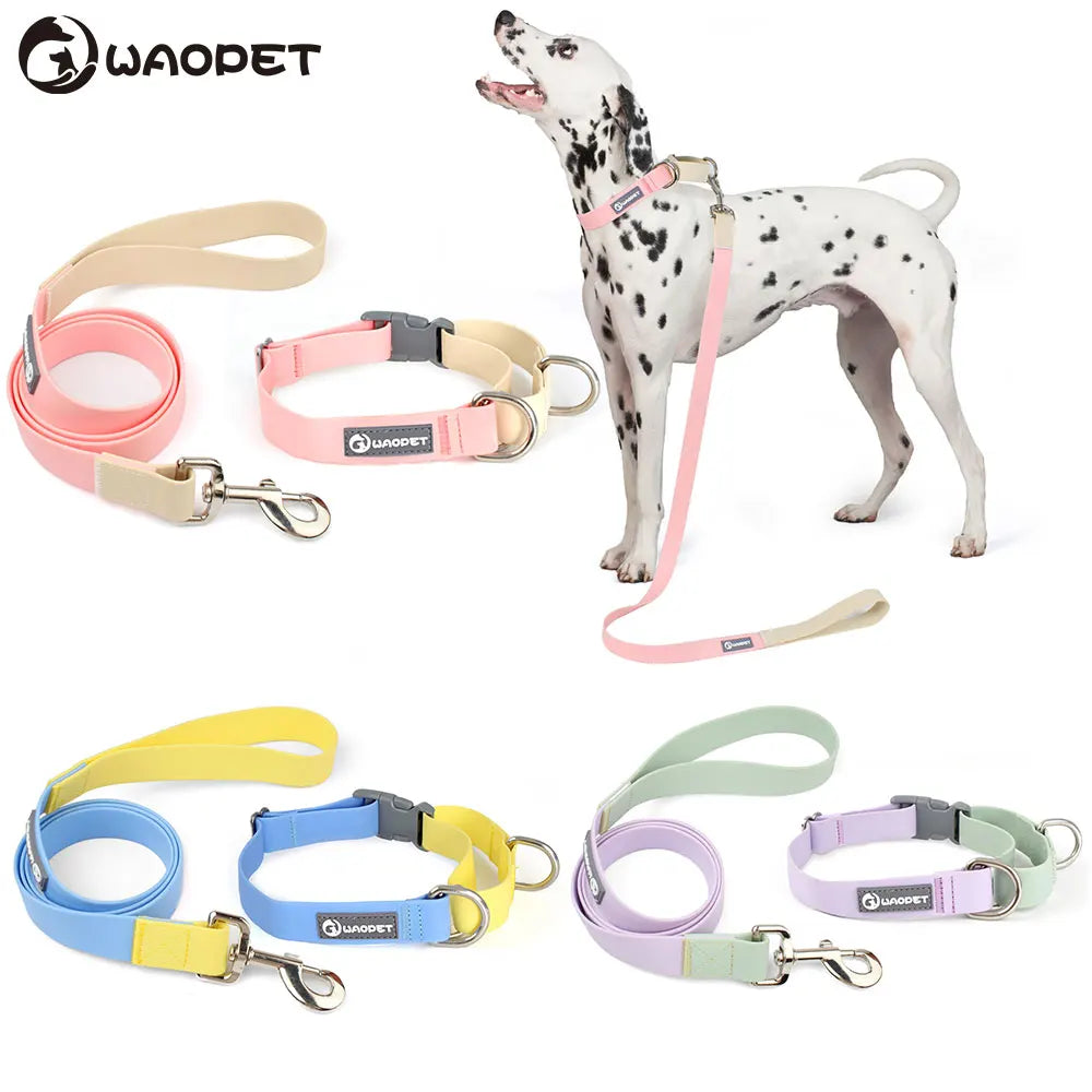 Waterproof collar and leash set for dachshunds