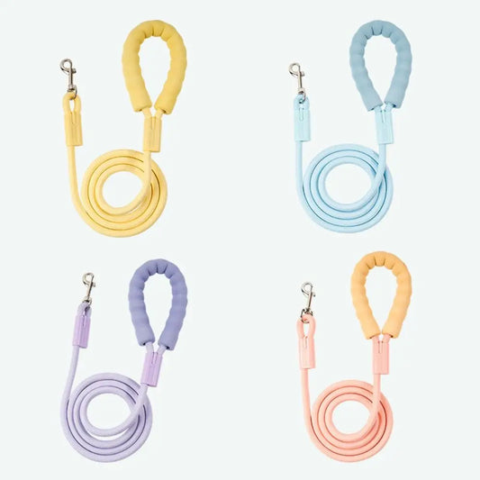 Cotton-handle nylon dog leash in bright colors on a pale background