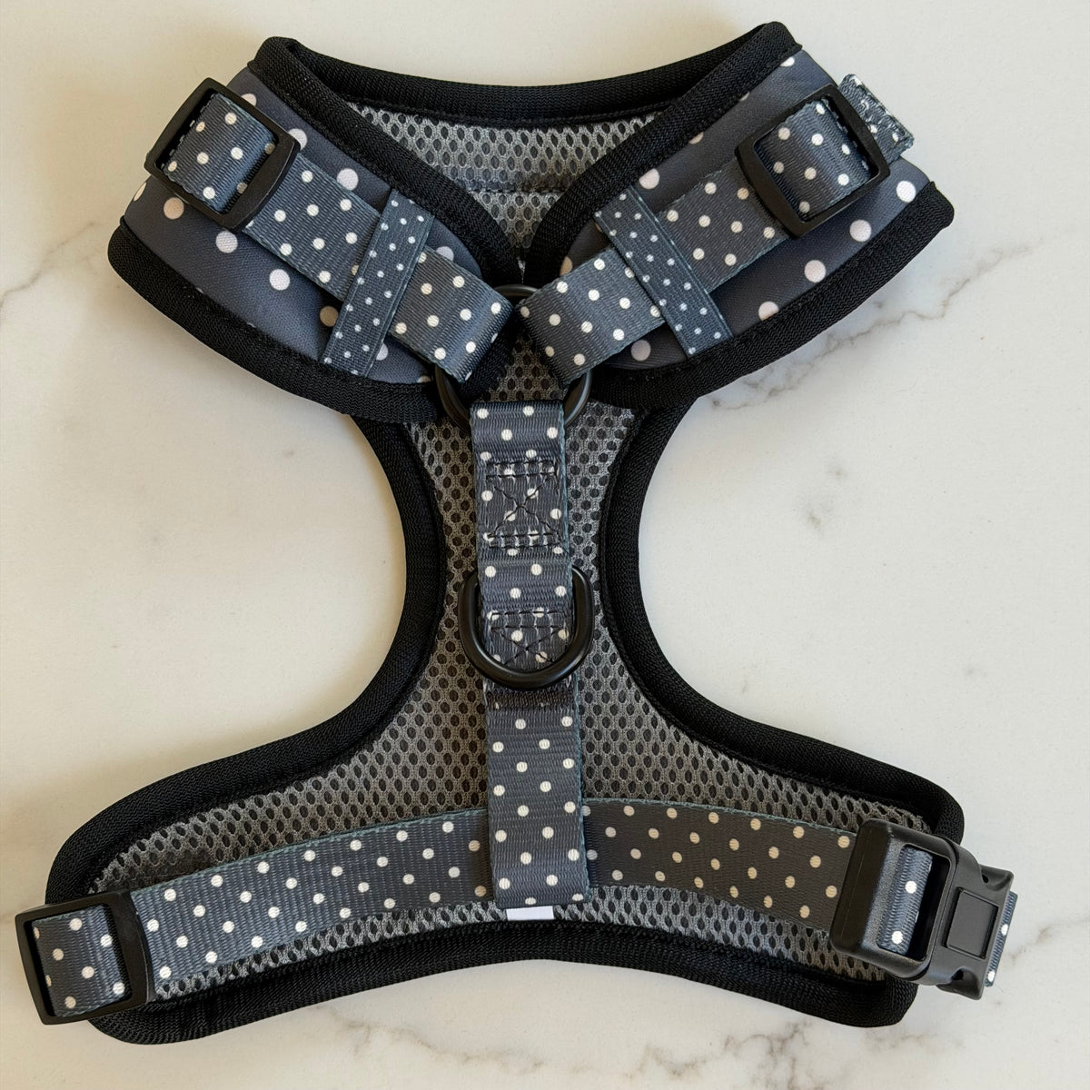 Tiny Weenies dachshund harness, adjustable step-in fit