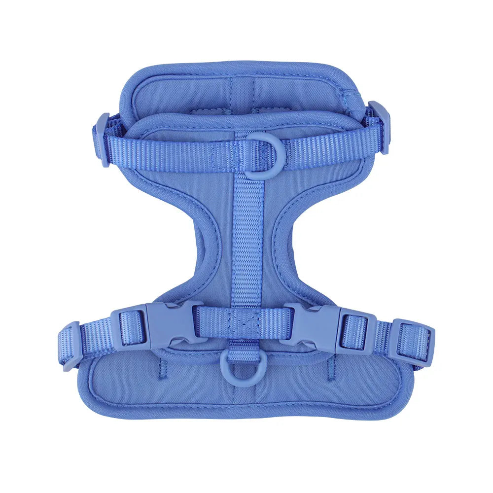 Dachshund vest harness with neoprene lining and adjustable straps (view 6)