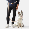 Rugged Hands-Free Dog Leash — Braided Nylon