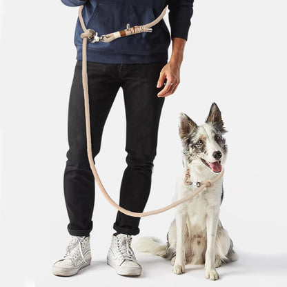 Rugged braided nylon hands-free dog leash in a solid color