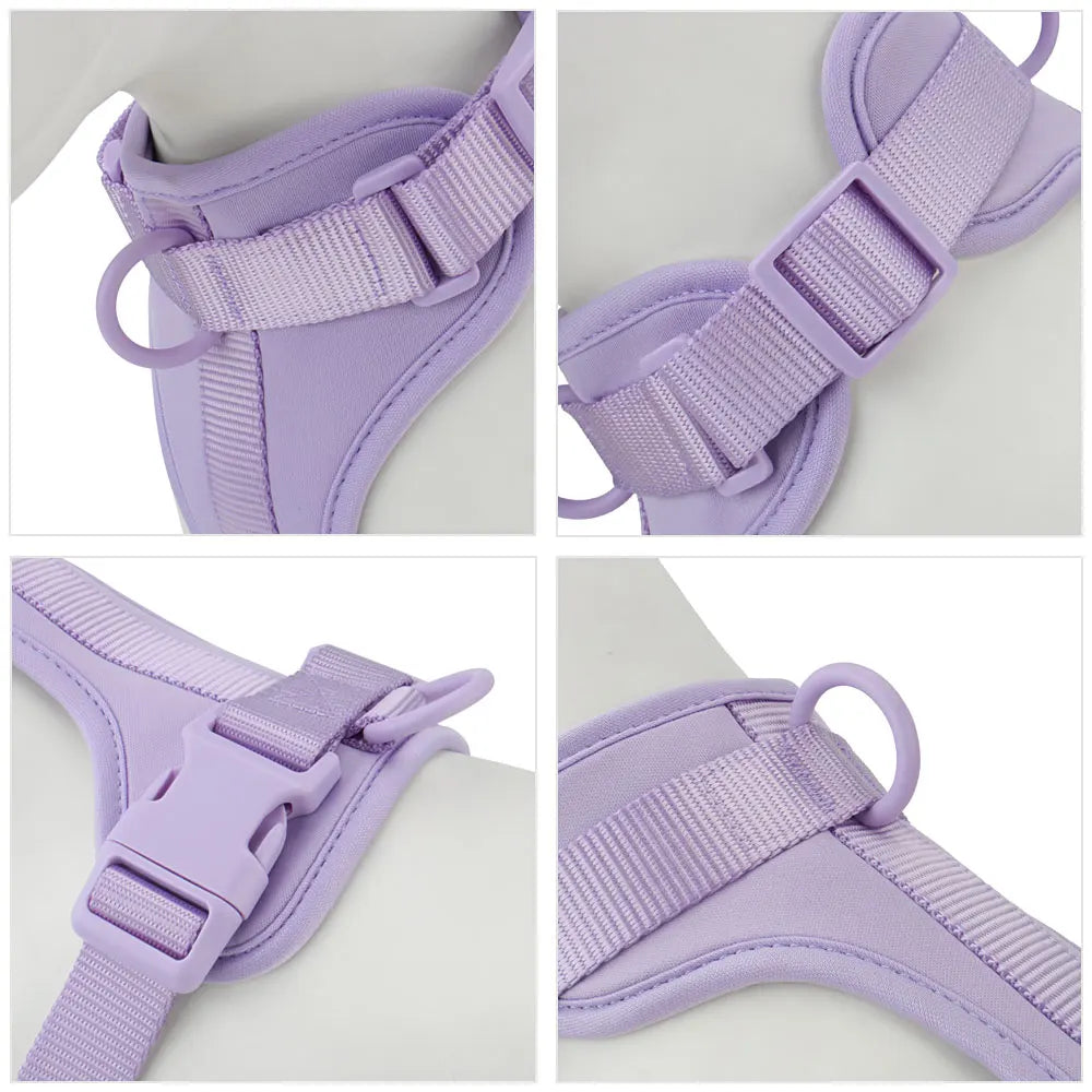 Dachshund vest harness with neoprene lining and adjustable straps (view 3)