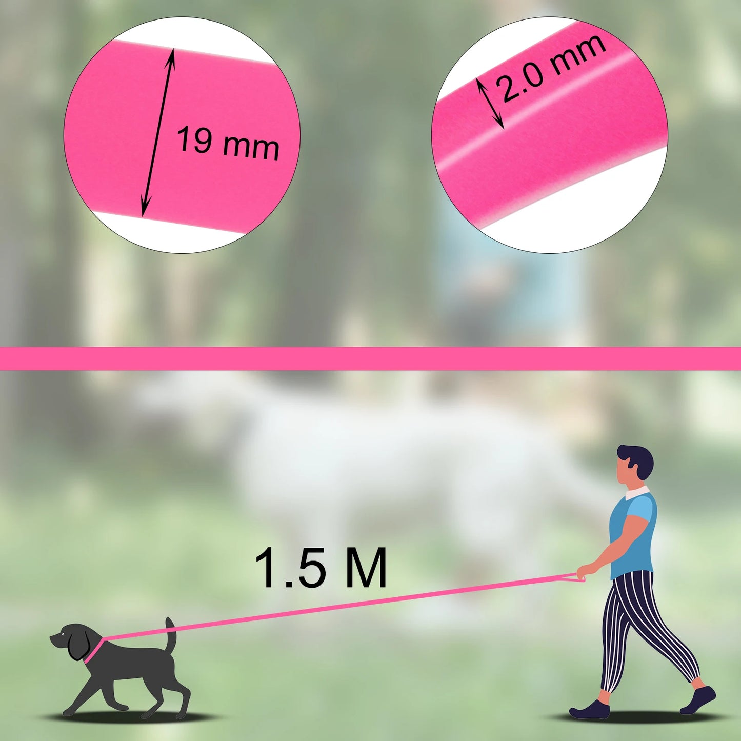 Long-Line Training Leash — detail view 4
