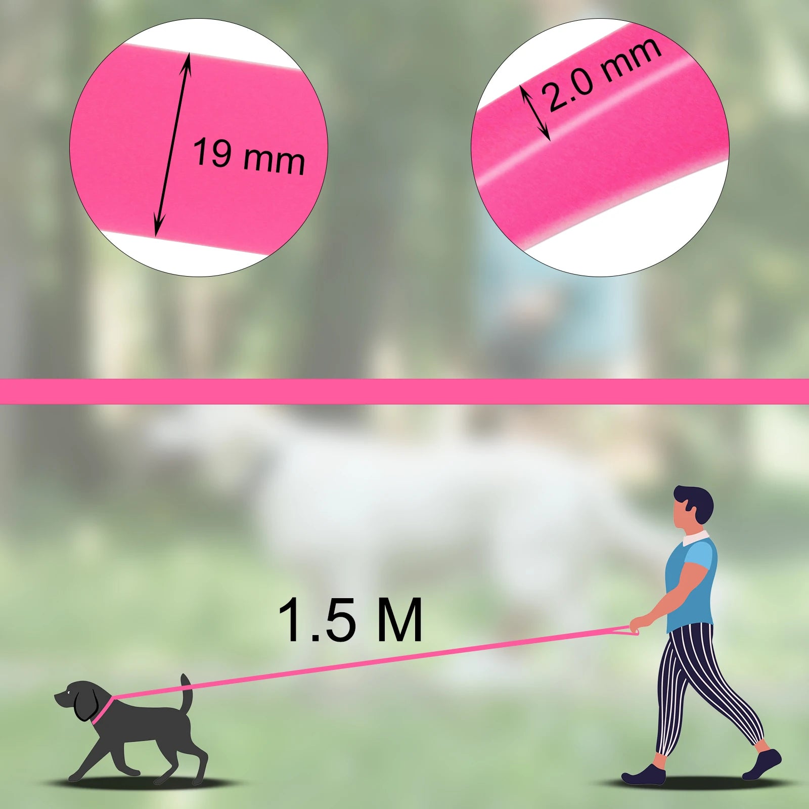 Long-Line Training Leash — detail view 4