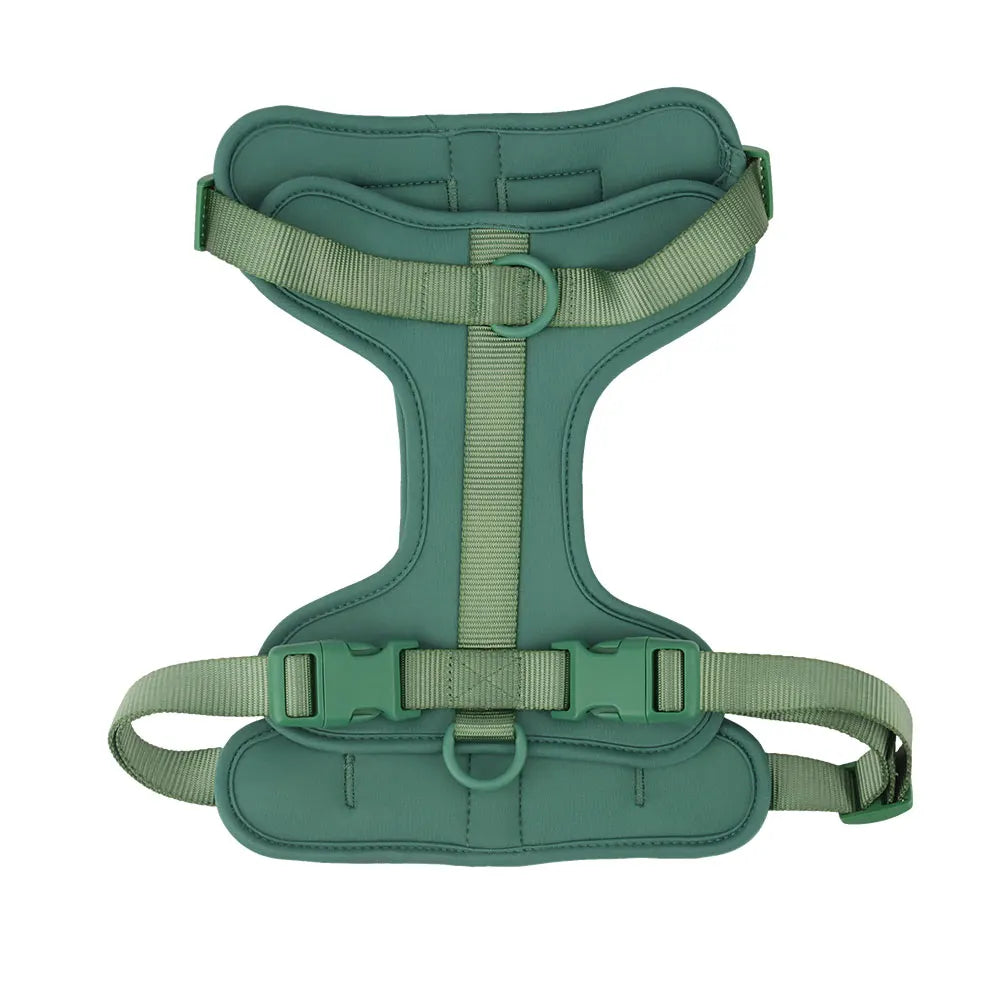 Dachshund vest harness with neoprene lining and adjustable straps (view 11)