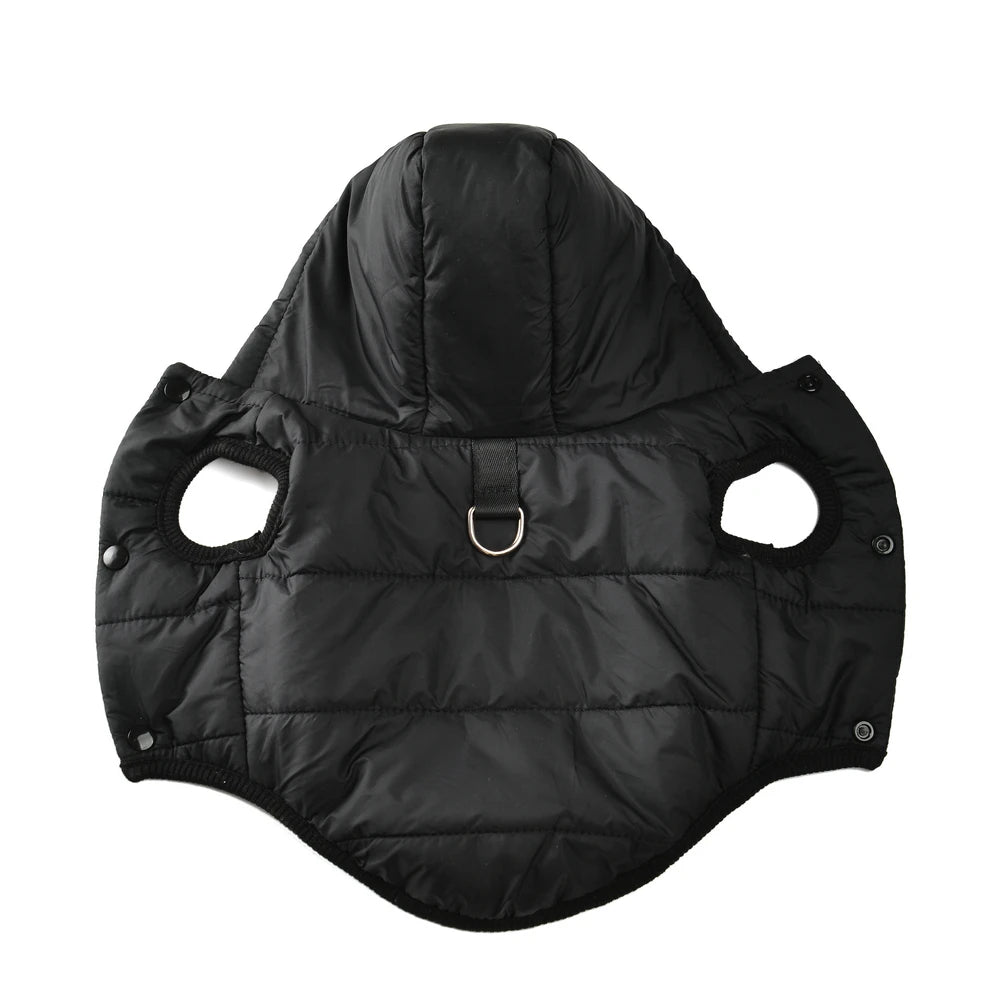 Dachshund winter parka — back coverage from neck to tail