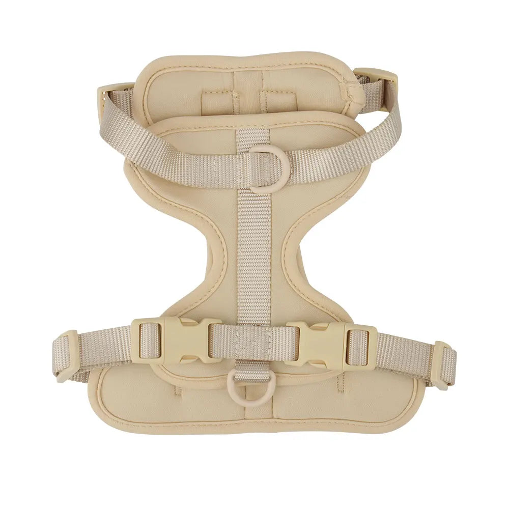 Dachshund vest harness with neoprene lining and adjustable straps (view 9)