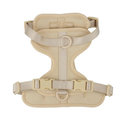 Dachshund vest harness with neoprene lining and adjustable straps (view 9)