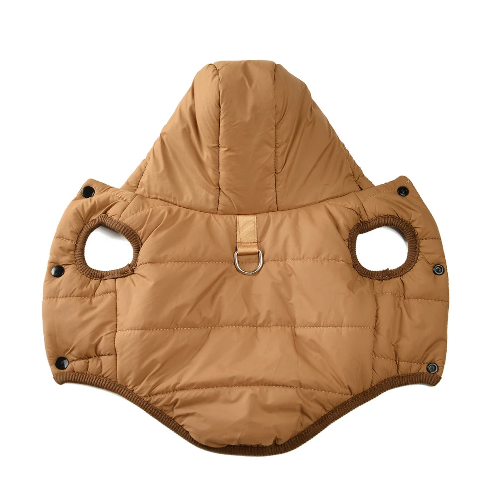 Dachshund winter parka — colorway option