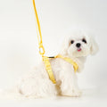 Macaron Dog Harness & Leash — Sold Separately or as a Set