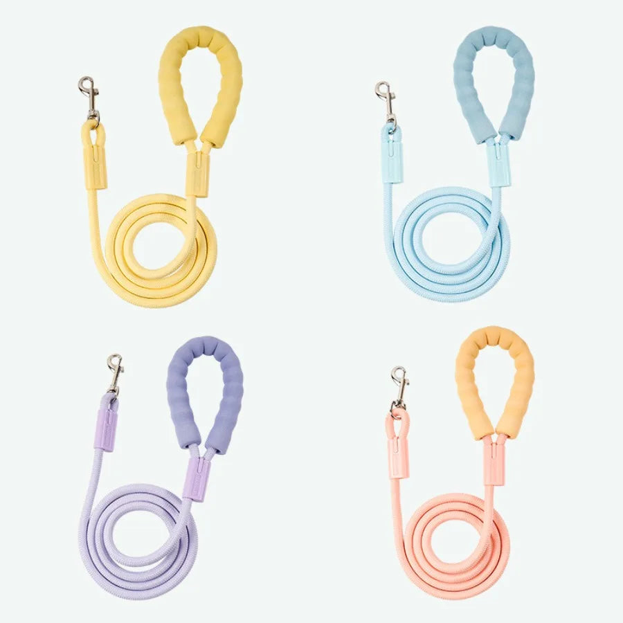 Braided nylon rope dachshund leash, color option 2