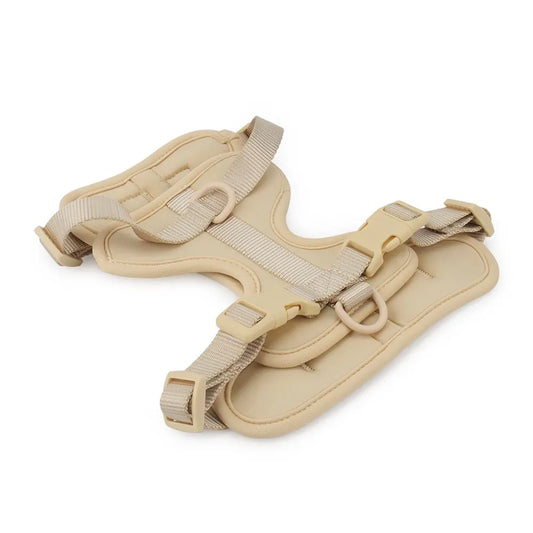 Dachshund wearing the Tiny Weenies adjustable vest harness