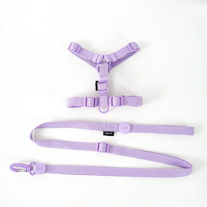 Macaron Harness, Collar & Leash Set — purple full set