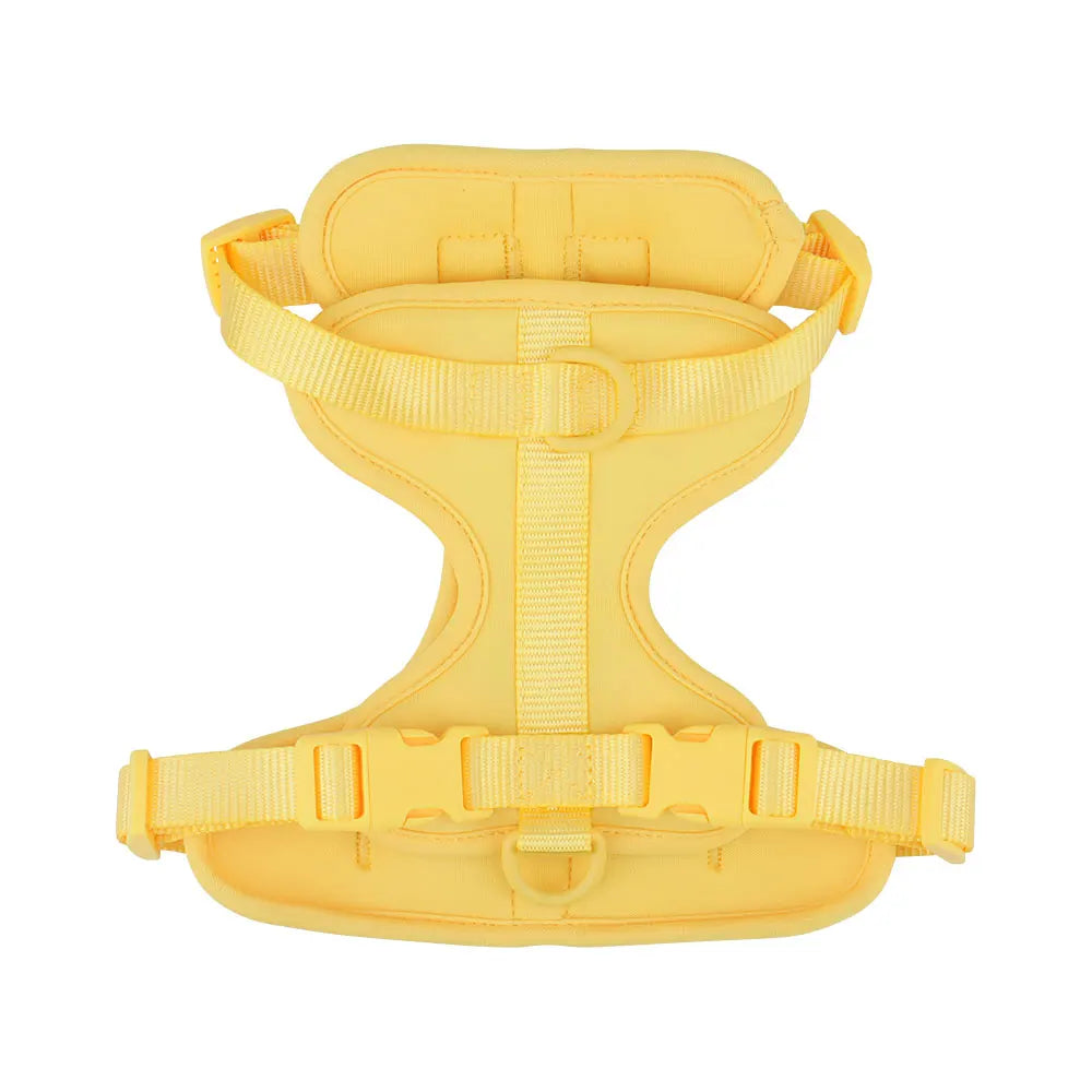Dachshund vest harness with neoprene lining and adjustable straps (view 12)