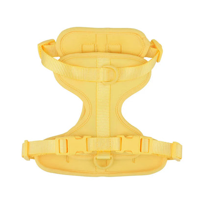 Dachshund vest harness with neoprene lining and adjustable straps (view 12)