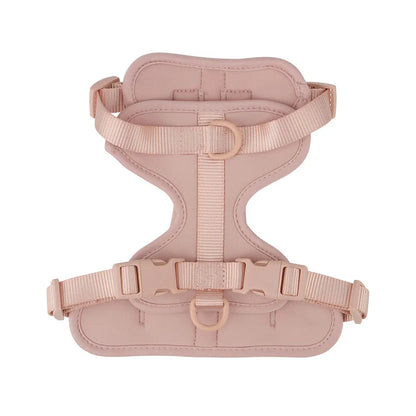 Dachshund vest harness with neoprene lining and adjustable straps (view 5)