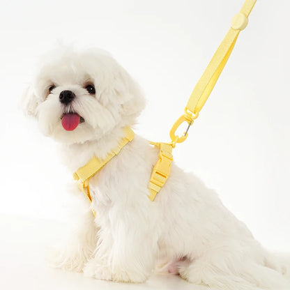Macaron Harness, Collar & Leash Set — detail view 2