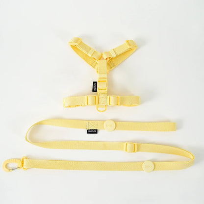 Macaron Harness, Collar & Leash Set — yellow full set