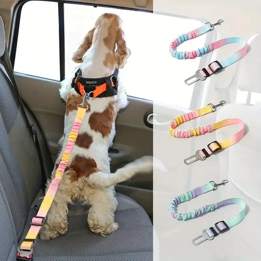 Adjustable dog car seat belt safety tether for dachshunds — Tiny Weenies