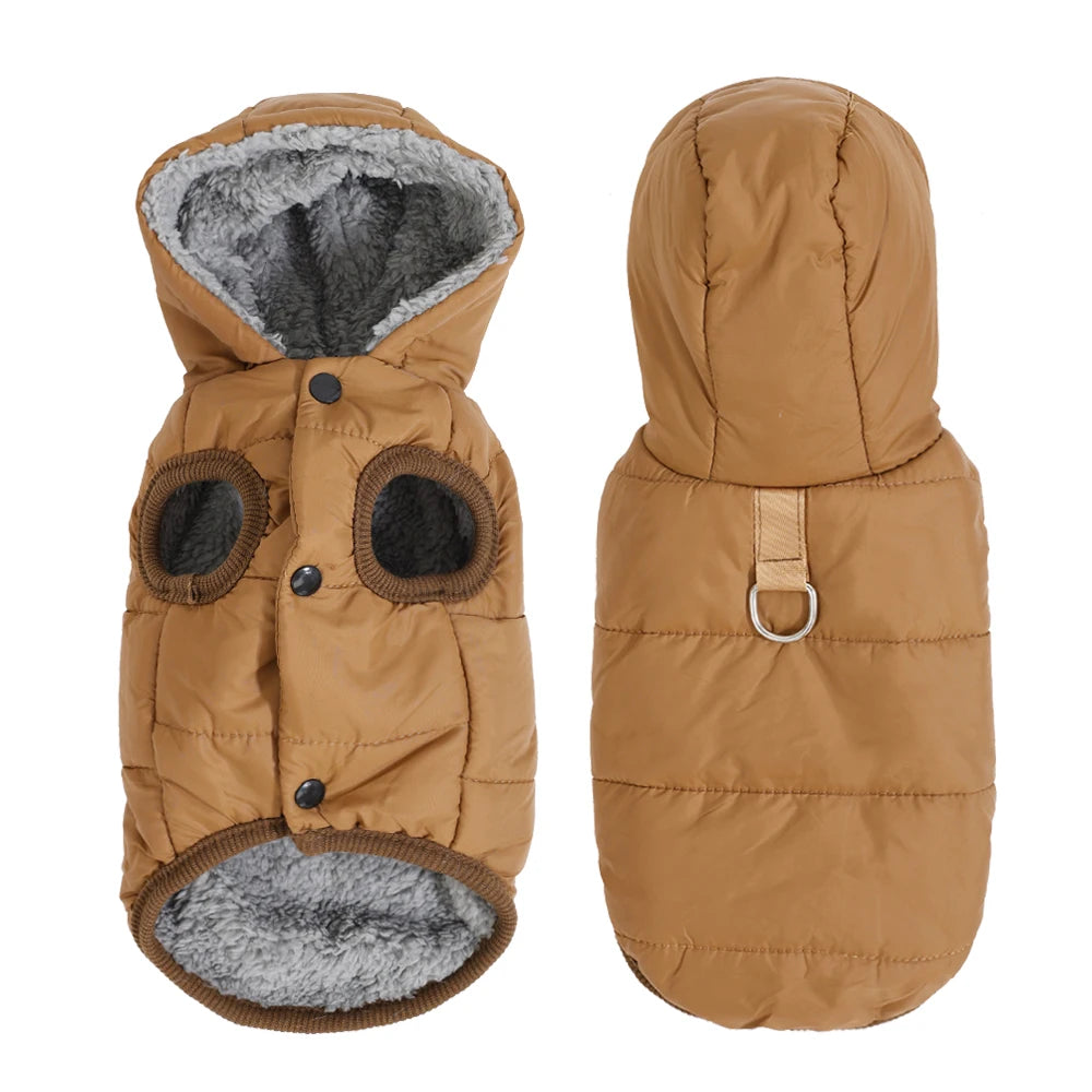 Dachshund winter parka — hood detail