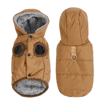 Dachshund winter parka — hood detail