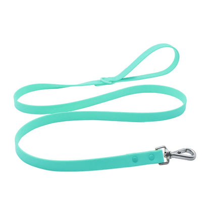 Waterproof Dachshund Leash — wipe-clean PVC, Mint Green