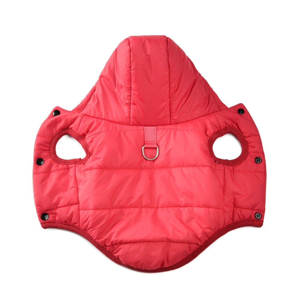 Dachshund winter parka — fit on standing dachshund