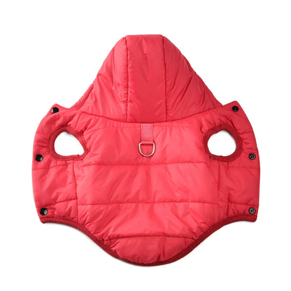 Dachshund winter parka — fit on standing dachshund