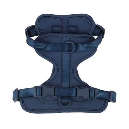 Dachshund vest harness with neoprene lining and adjustable straps (view 7)