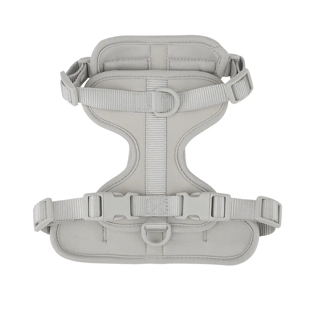 Dachshund vest harness with neoprene lining and adjustable straps (view 14)