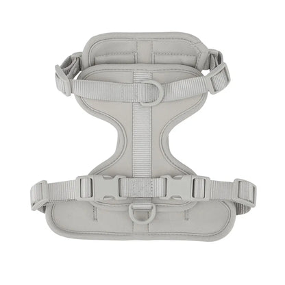 Dachshund vest harness with neoprene lining and adjustable straps (view 14)