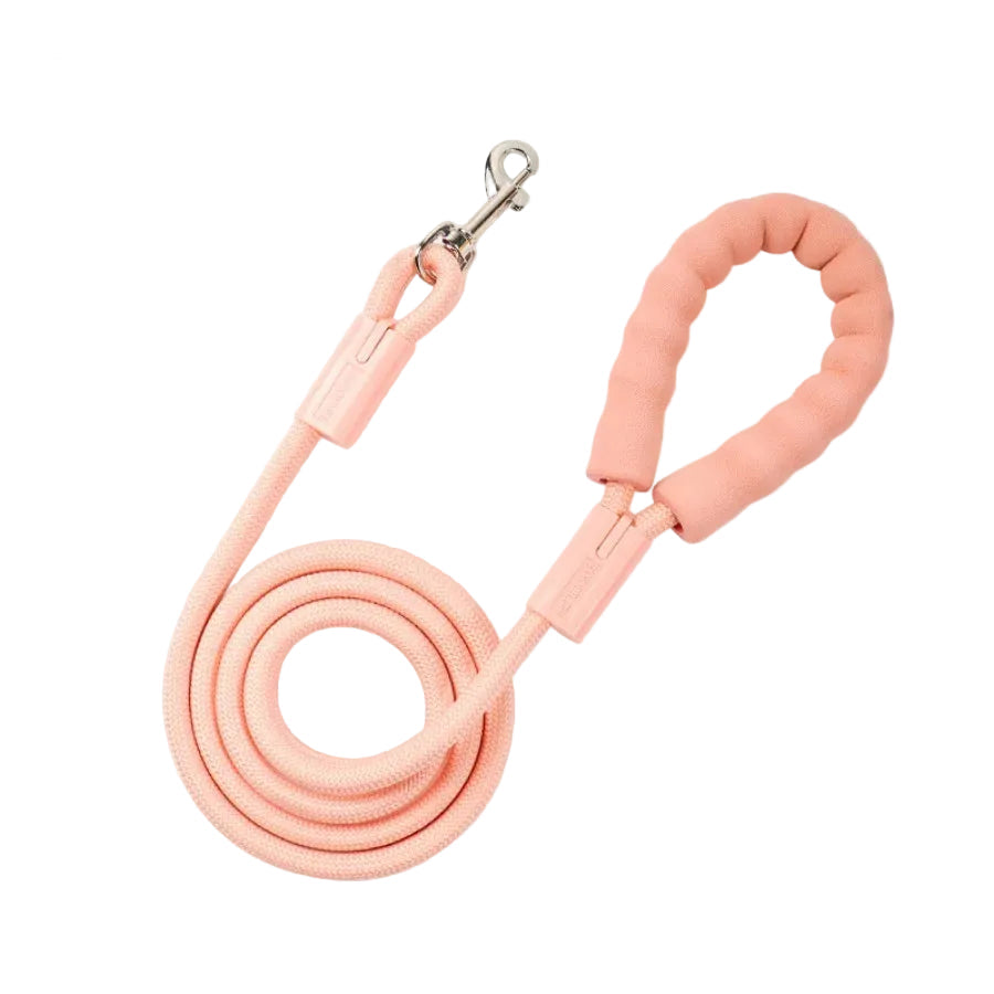 Braided nylon rope dachshund leash, color option 4