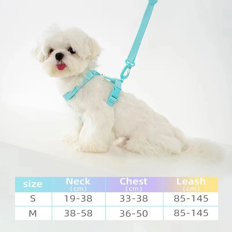 Macaron Harness, Collar & Leash Set — detail view 3
