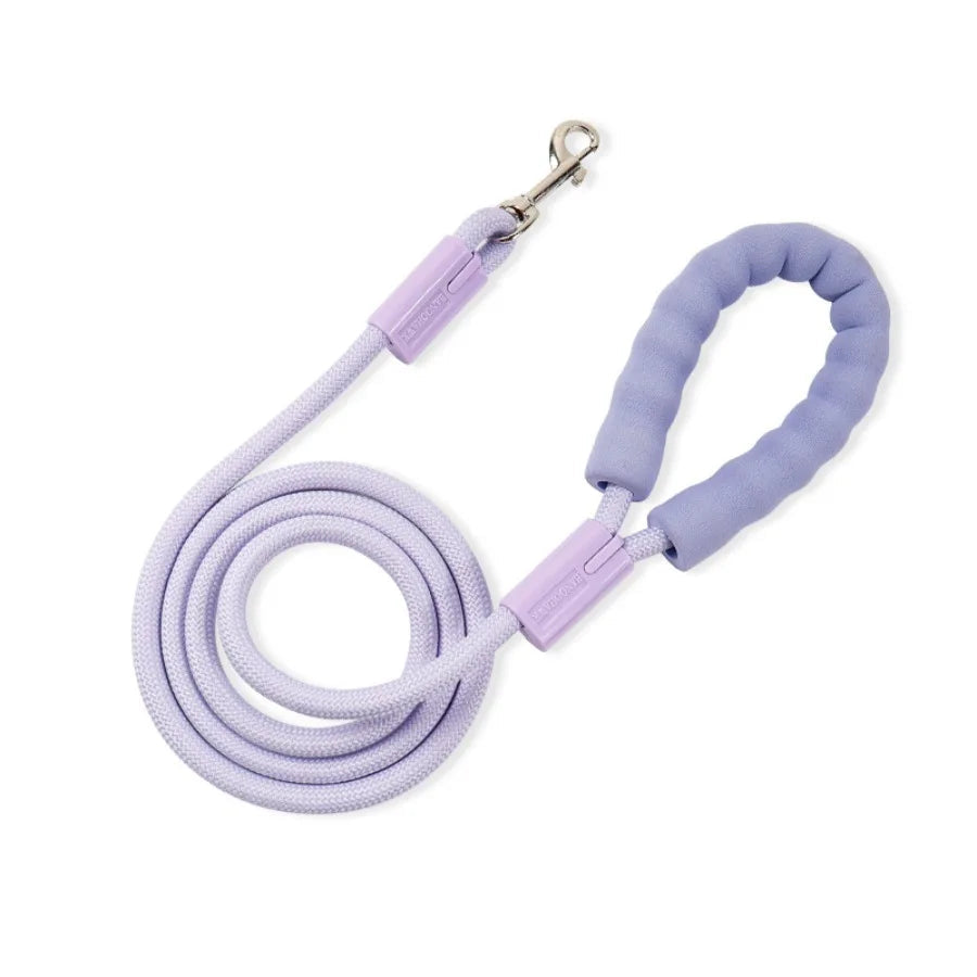 Braided nylon rope dachshund leash, color option 3