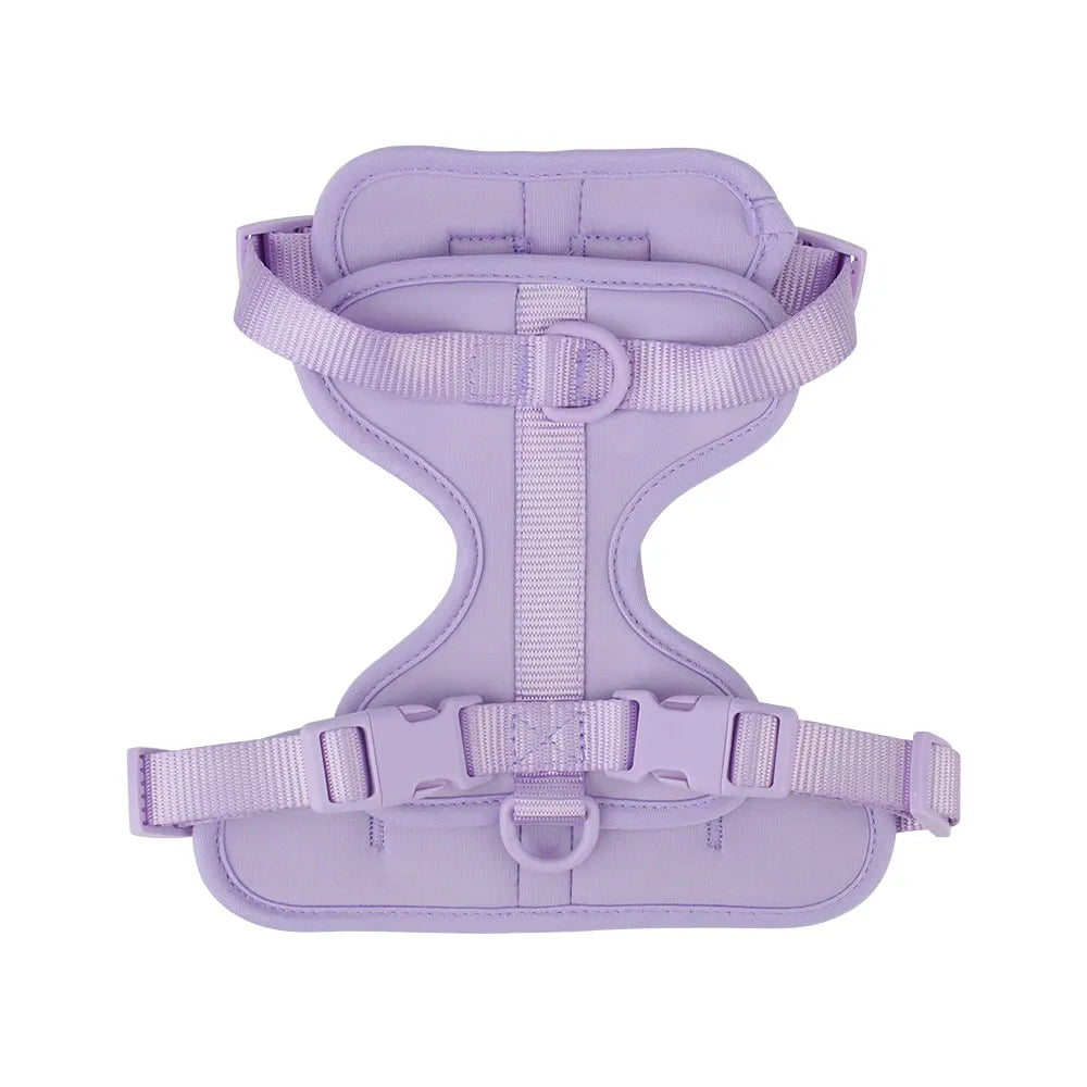 Dachshund vest harness with neoprene lining and adjustable straps (view 8)