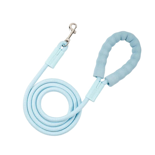Braided nylon rope dog leash for small dogs and dachshunds
